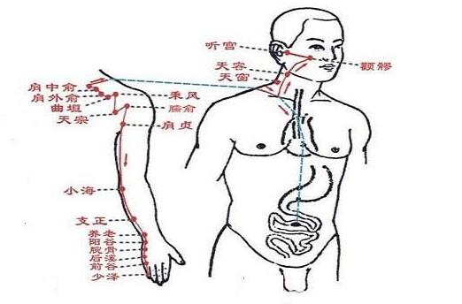 手太阳小肠经经循行图，小肠经准确位置图和作用