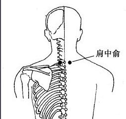 肩中俞怎么读，肩中俞的准确位置图和作用