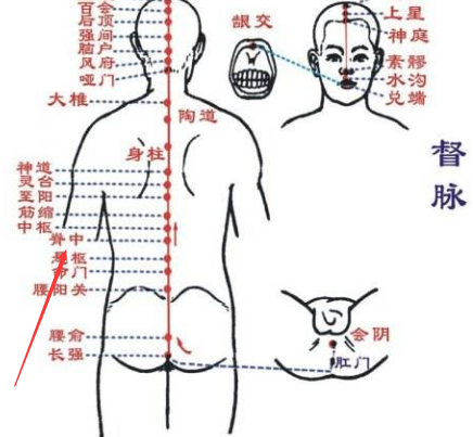 脊中穴的作用与功效，脊中的准确位置图