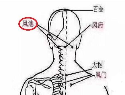 天柱和风池怎么区分，风池和天柱的位置图