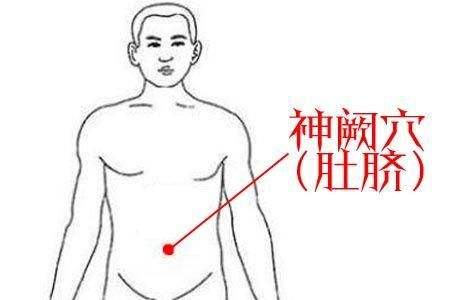 神阙穴的神奇功效，神阙穴的准确位置图片