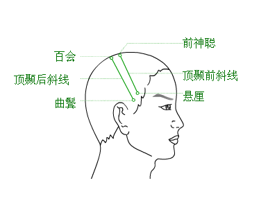 曲鬓穴在哪里？曲鬓的准确位置图片和作用