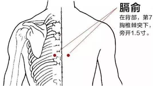 膈俞穴怎么找，膈俞的准确位置图和作用