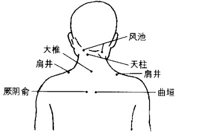 曲垣怎么读音？曲垣穴的准确位置图和作用