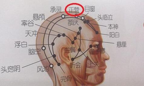 正营穴的最笨找法，正营的准确位置图和作用