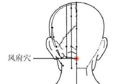 风府风池的功效与作用，风府风池的准确位置图