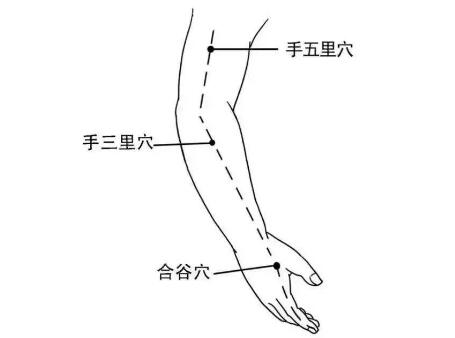 手五里的神奇功效，手五里准确位置图和作用