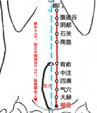 横骨穴的简易找法，横骨的准确位置图和作用