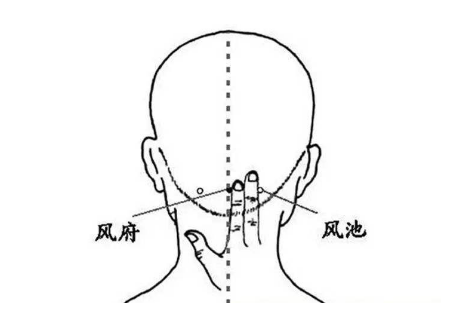 风府穴的作用与功效，风府的准确位置图