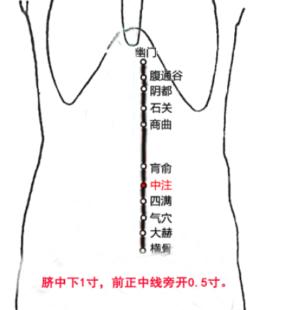 中注穴怎么找？中注的准确位置图和作用