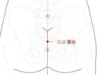 腰俞穴的作用与功效，腰俞的准确位置图