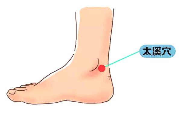 太溪穴的作用，太溪的准确位置图