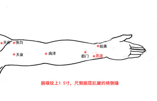 灵道穴的定位和主治，灵道的准确位置图和作用