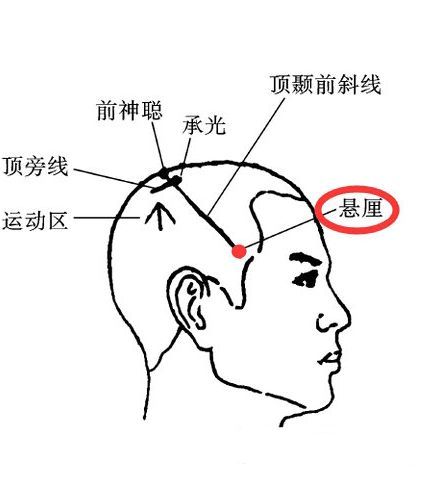 悬厘穴怎么找，悬厘的准确位置图和作用