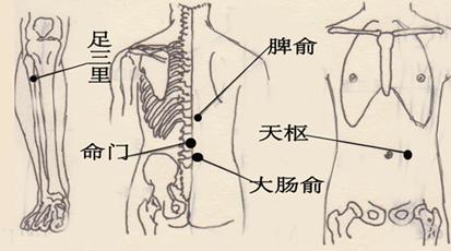 大肠俞怎么找最简单？大肠俞穴的准确位置图和作用