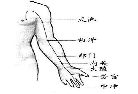 心包经的作用功效，心包经的准确位置图