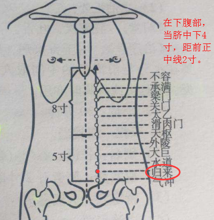 归来穴的最笨找法，归来的准确位置图和作用