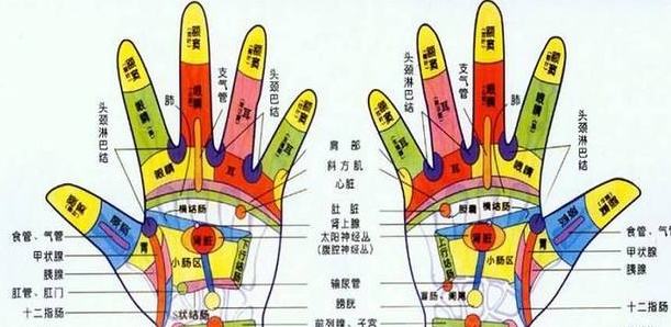 手掌全息反应图片（高清版）