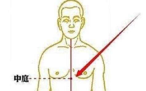 中庭是什么部位， 中庭穴的准确位置图和作用