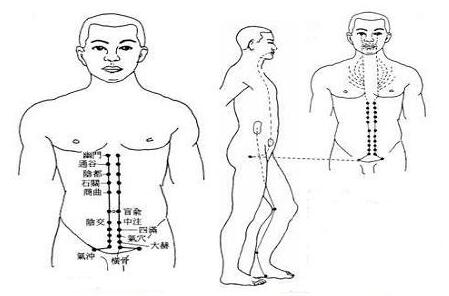 冲脉在哪里，冲脉的准确走向位置图