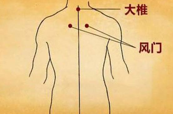 风门穴的作用功效，风门的准确位置图