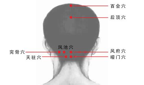 头部穴位：34个头部背面穴位位置图汇总