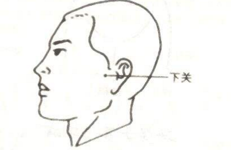 下关穴怎么找？下关的准确位置图片和作用
