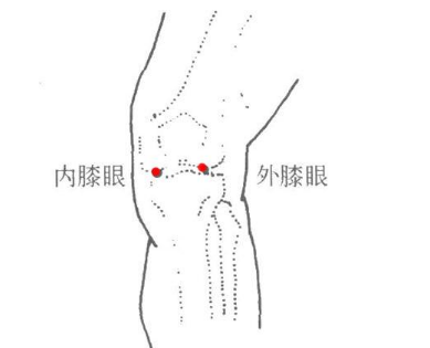 膝眼的最笨找法，膝眼穴的准确位置图