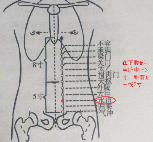 水道穴在肚子什么位置，水道的准确位置和功效