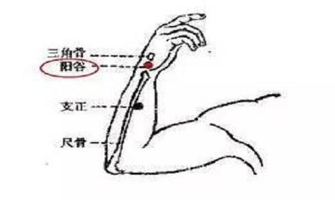 怎么找阳谷穴最简单，阳谷的准确位置图和作用
