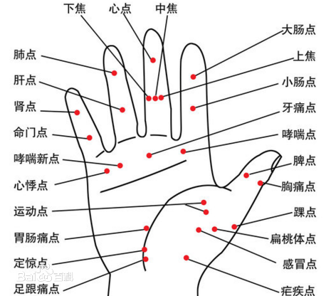 手掌全息反应图片（高清版）