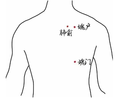 魄户穴的作用与功效，魄户的准确位置图片