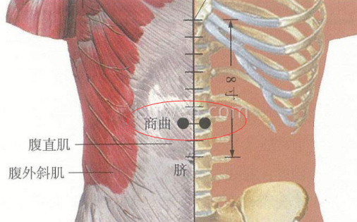 商曲穴的作用功效，商曲的准确位置图