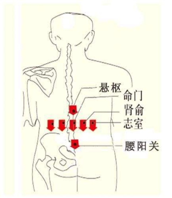 志室穴的作用，志室的准确位置图片