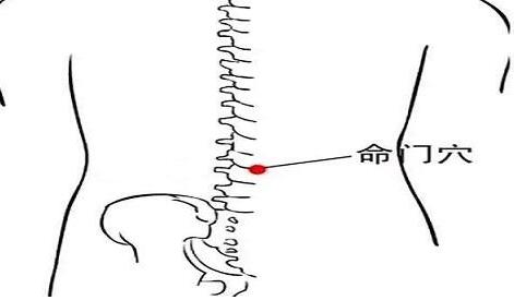 命门是什么意思，命门的简易找法