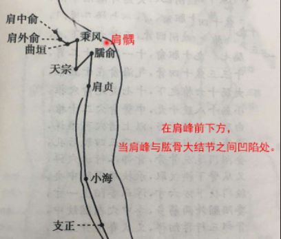 最笨找肩k穴的方法，肩k的准确位置图和作用