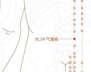 气海俞穴的作用功效，气海俞的准确位置图