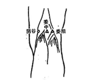 阴谷穴位在哪里？阴谷的准确位置图和作用