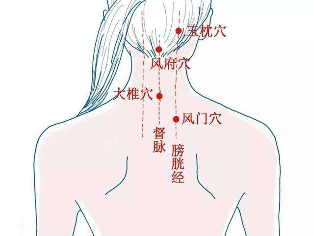 风府穴的作用与功效，风府的准确位置图