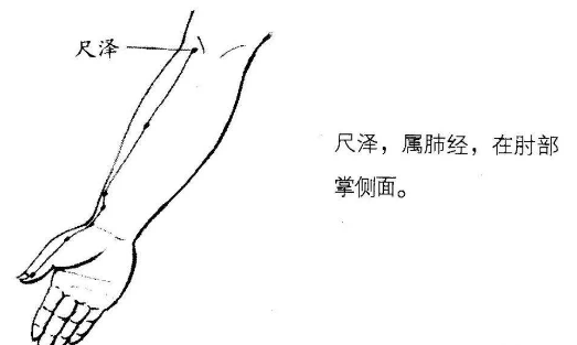 尺泽穴的作用与功效，尺泽的准确位置图片