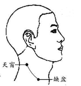 天窗穴怎么找，天窗的准确位置图和作用