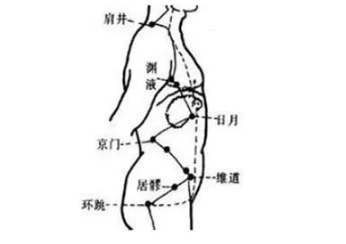 日月穴怎么找？日月的准确位置图和作用