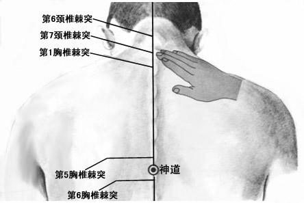 艾灸神道穴的好处，神道的准确位置图与作用