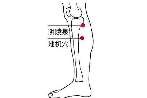 阴陵泉最简单的找法，阴陵泉的准确位置图及功效