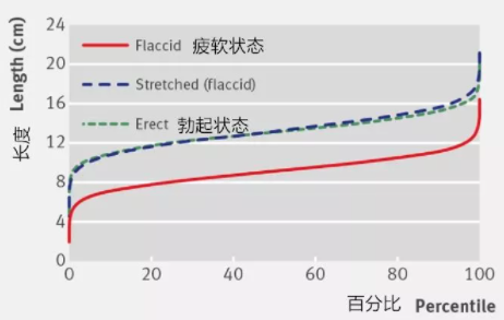 14cm的男生属于大还是小